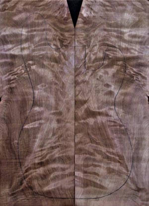 redwood electric 6